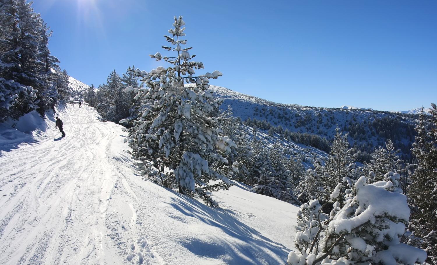 Pm Services Borovets Garden Apartments エクステリア 写真