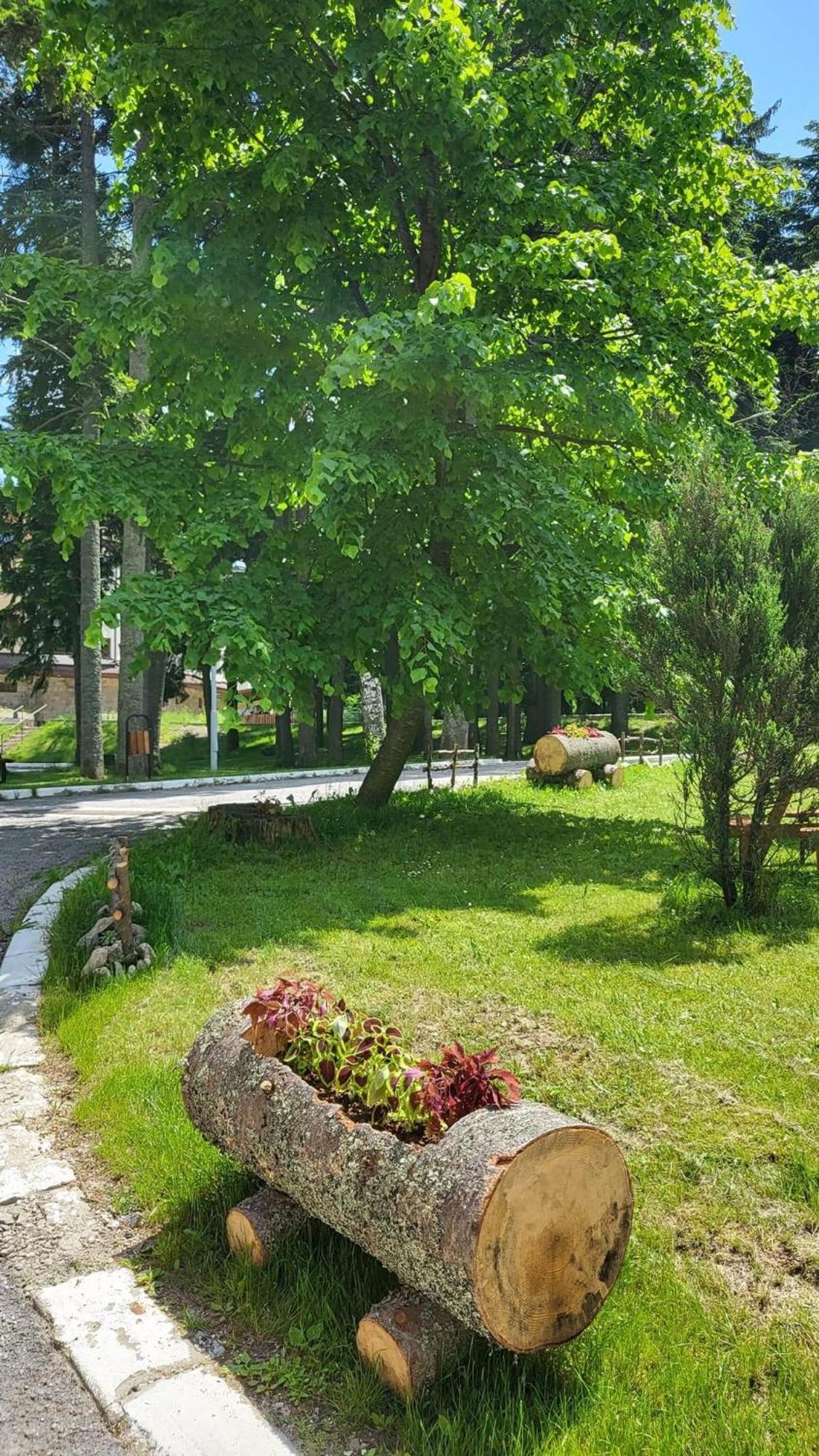 Pm Services Borovets Garden Apartments エクステリア 写真