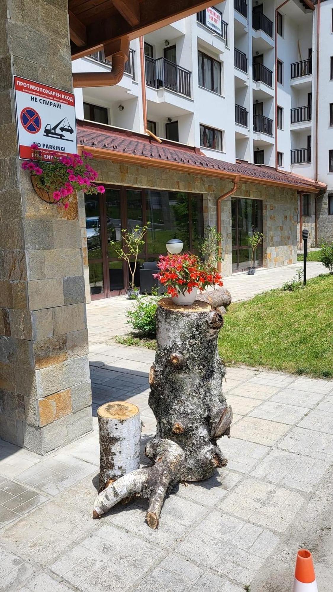 Pm Services Borovets Garden Apartments エクステリア 写真